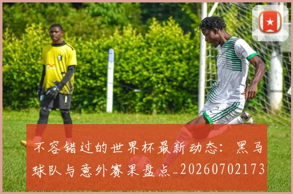 不容错过的世界杯最新动态：黑马球队与意外赛果盘点_20260702173405